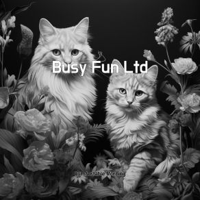 Download track Busy Fun Ltd Comfortable Morning