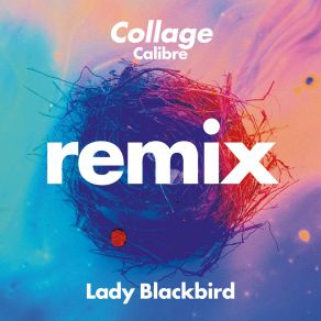 Download track Collage (Calibre Remix) Calibre