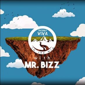 Download track Big Clean Mr. Bizz