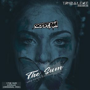 Download track The Sum Skybeam