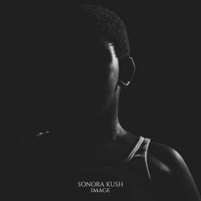 Download track Hoje Eu Sei Sonora Kush