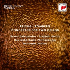 Download track 3.3. Moderato Deutsche Radio Philharmonie, Stephan Koncz, Bruno Delepelaire