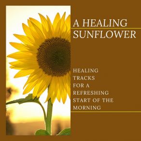 Download track Showering In The Healing Downtour Alluring Melody Productions