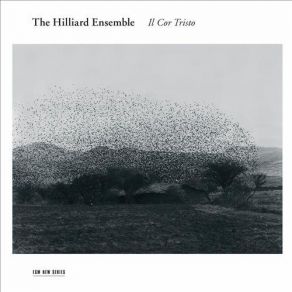 Download track Marsh: Il Cor Tristo 1 The Hilliard Ensemble