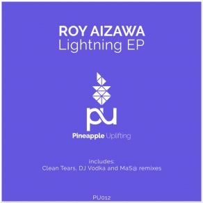 Download track Lightning (DJ Vodka Remix) Roy Aizawa