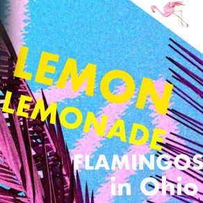 Download track Lemon Ginger Proviant Flamingos In Ohio