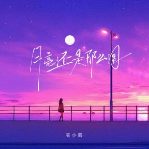 Download track 月亮还是那么圆 (和声伴奏版) 袁小葳