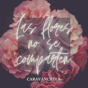 Download track 3: 17 Caravanchela