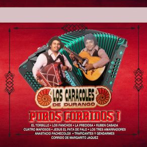 Download track Los 3 Amarradores Los Caracoles De Durango