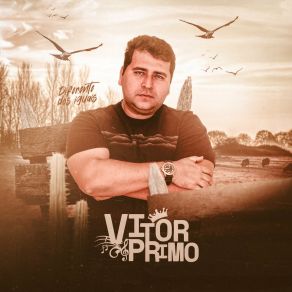 Download track Solidao É Uma Ressaca Vitor Primo