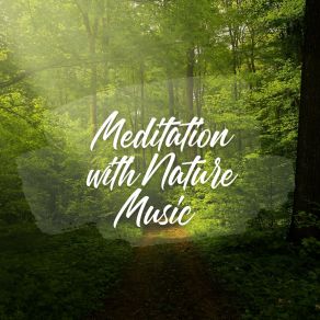 Download track Meditation With Nature, Pt. 19 Natures Orchestra