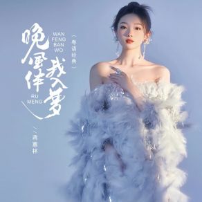 Download track 晚风伴我入梦 (粤语经典 伴奏) 蒋蕙林