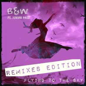 Download track Flying To The Sky (ID-ND Remix) Junior Paes