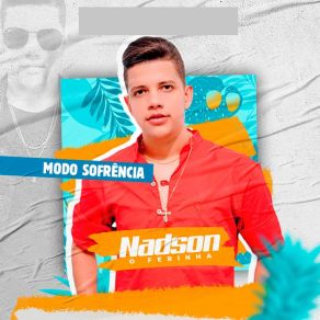 Download track Não Vai Se Apaixonar Nadson O Ferinha