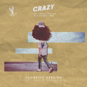 Download track Crazy (Acoustic Version) Zonderling, Lost Frequencies, David Benjamin