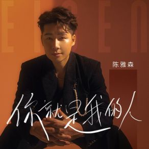 Download track 你就是我的人 (DJ伟然版) 陈雅森