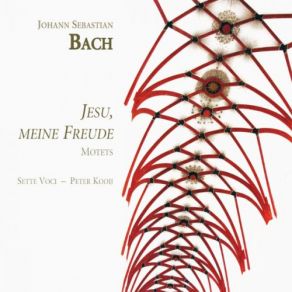 Download track Ich Lasse Dich Nicht, Du Segnest Mich Denn, BWV Anh. 159 Peter Kooij, Sette Voci