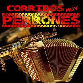 Download track Gerardo González Los Norteños Del Bajío