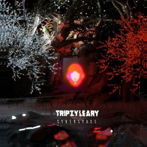 Download track Cyberpilot Tripzy Leary