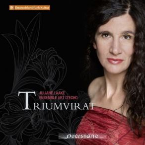 Download track Sonate Ó Partite, Sonata No. 2: V. Adagio Juliane Laake, Ensemble Art D'Echo