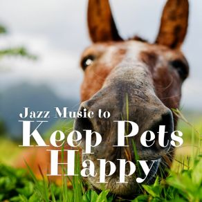 Download track Therapy Dog Training Jazz Pets Relax