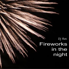 Download track Fireworks In The Night Dj Ros