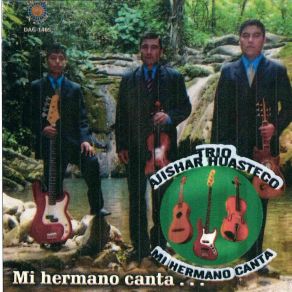 Download track Cuatro De A Caballo Trio Ajishar Huasteco