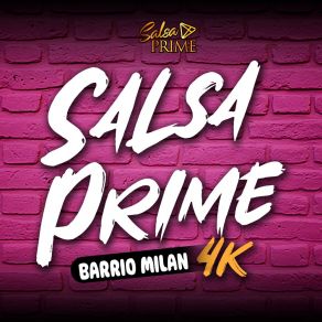 Download track Por Eso Esta Conmigo Salsa PrimeJoan Rojas