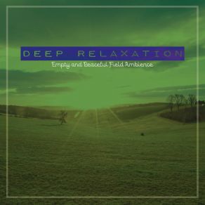 Download track Empty And Peaceful Field Ambience, Pt. 11 Craig Hewitt