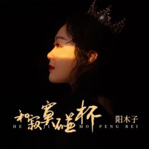 Download track 和寂寞碰杯 (女版) 阳木子