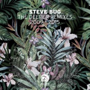 Download track The Long Run (Steve Bugs Vocal Mix) Steve Bug