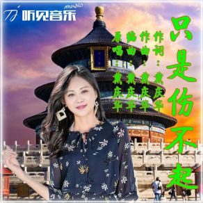 Download track 只是伤不起 (伴奏) 戴庆华