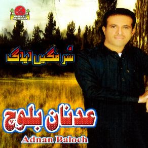 Download track Ship E Rang Samal Adnan Baloch