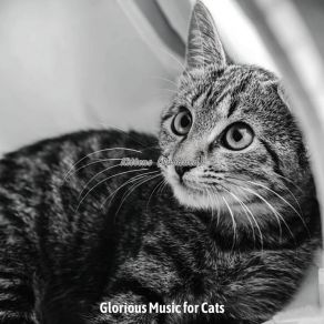 Download track Inspired - Music Glorious Music For Cats