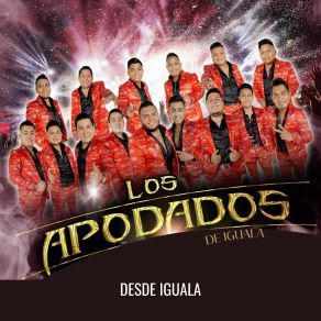 Download track Popurrí Comarca Lagunera: Esa Pareja / El Baile Del Gavilán / Lambada Los Apodados De Iguala