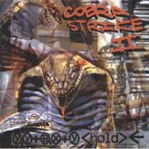 Download track Moonflake Cobra Strike