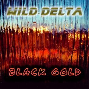 Download track Blip-Blop Wild Delta