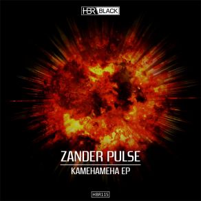 Download track S. P. A. R. K. Zander Pulse