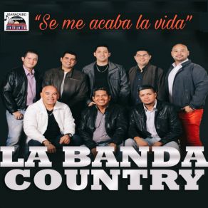 Download track El Gato En La Oscuridad La Banda CountryTulio Nava