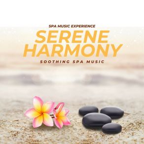 Download track Echoing Eternity Spa Music Experience