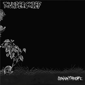 Download track King Of The Pleistocene Thunderchief