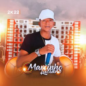 Download track Minha Vontade De Te Amar Marcinho Luciano