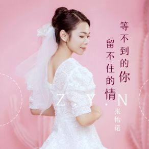 Download track 留不住的情等不到的你 (伴奏) 张怡诺