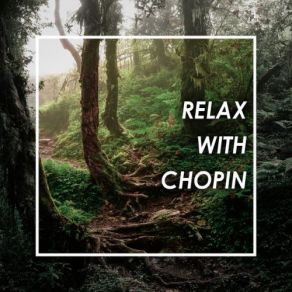 Download track Chopin: Cantabile In B Flat Frédéric ChopinAnatol Ugorski