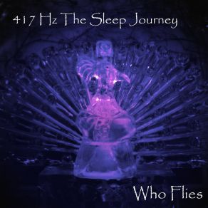 Download track 417 Hz Sleep And Facilitate Change Who Flies