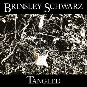 Download track You Can't Take It Back Brinsley Schwarz