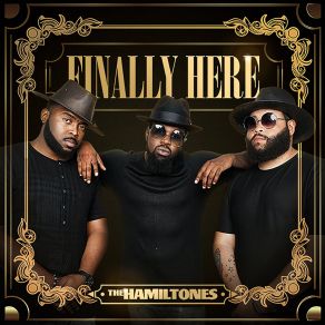 Download track You Got That Fire The Hamiltones