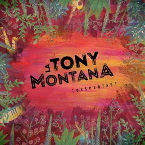 Download track Lo Correcto La Tony Montana