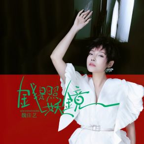 Download track 钱是照妖镜 (伴奏) 魏佳艺