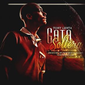 Download track Gata Soltera Tony Lenta